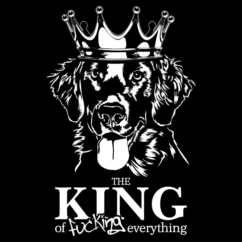 Flat Coated Retriever King of everything Spruch
