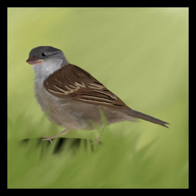 Spatz