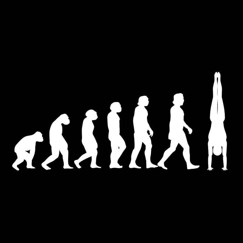 Handstand Evolution Gymnastics gymnastics Calisthenics