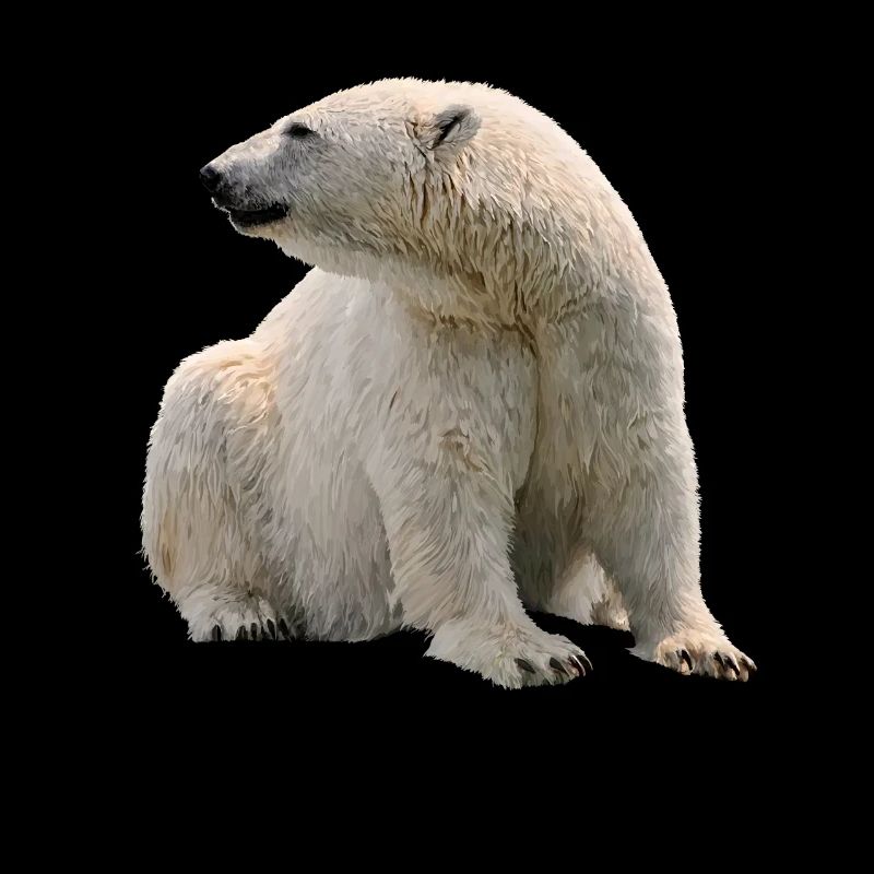 polar bear