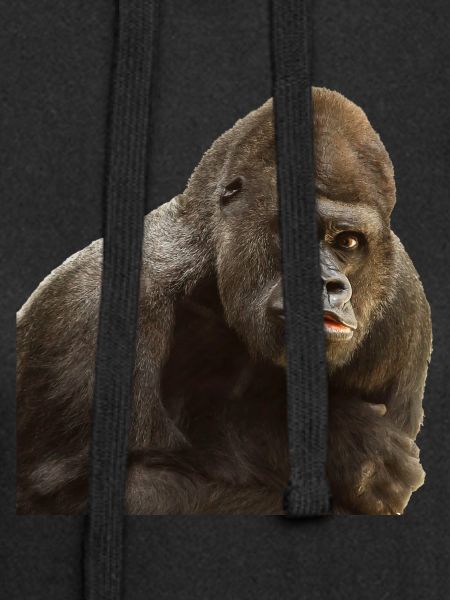gorilla