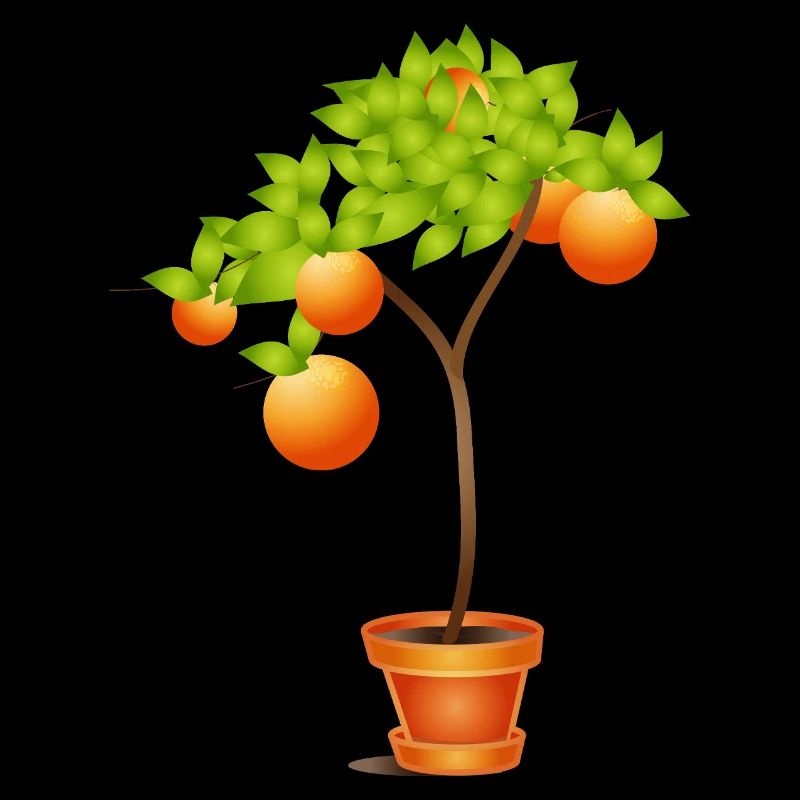 Small orange tree in flower pot
