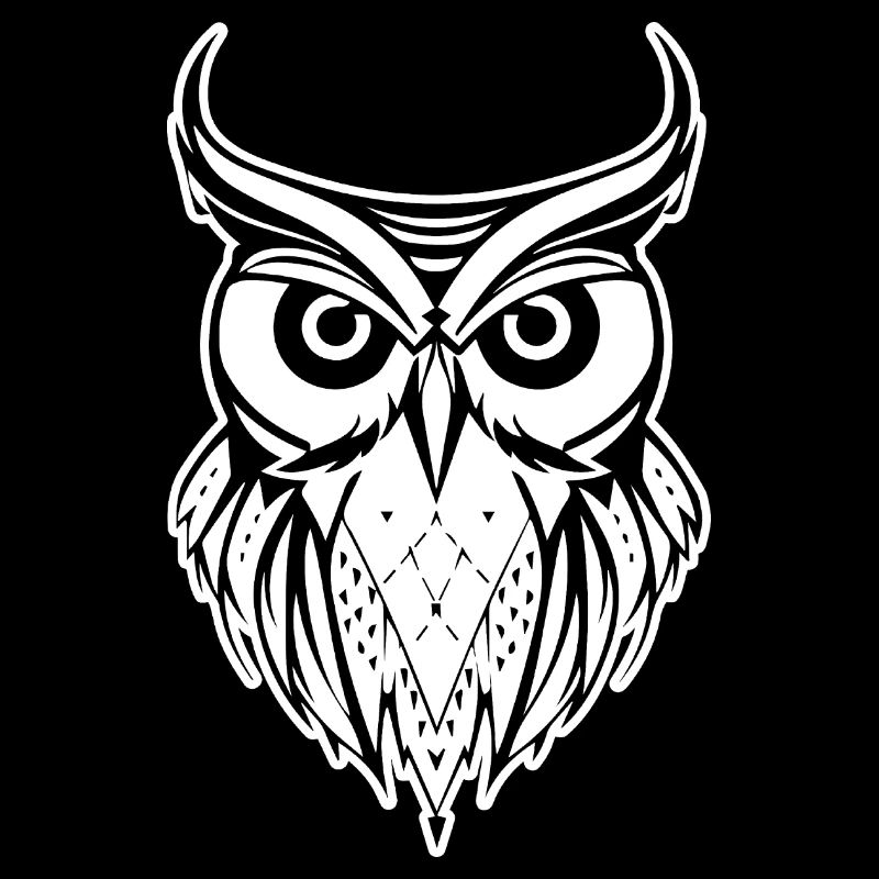 Eule Eulen Vogel Vögel