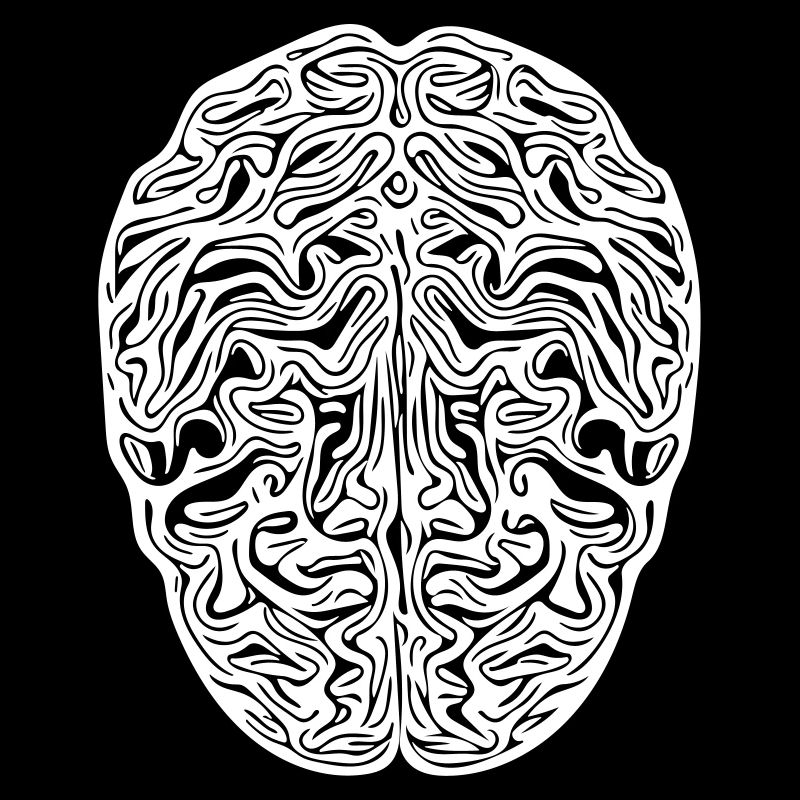 Gehirn - Anatomischer Vector