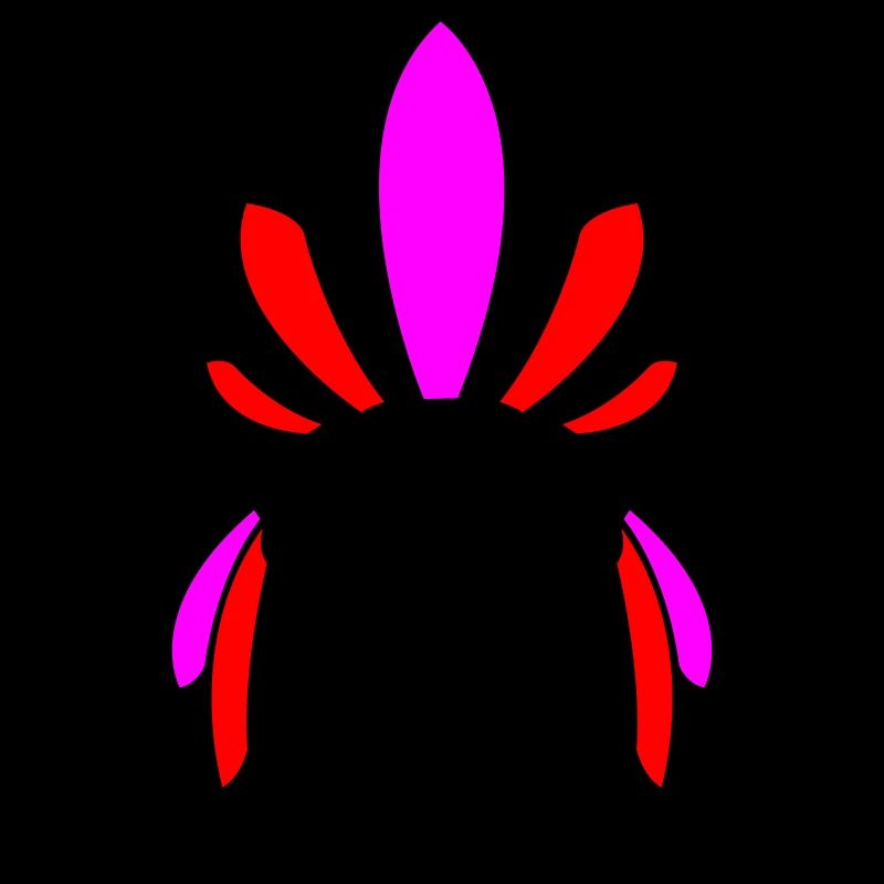 indianer skull