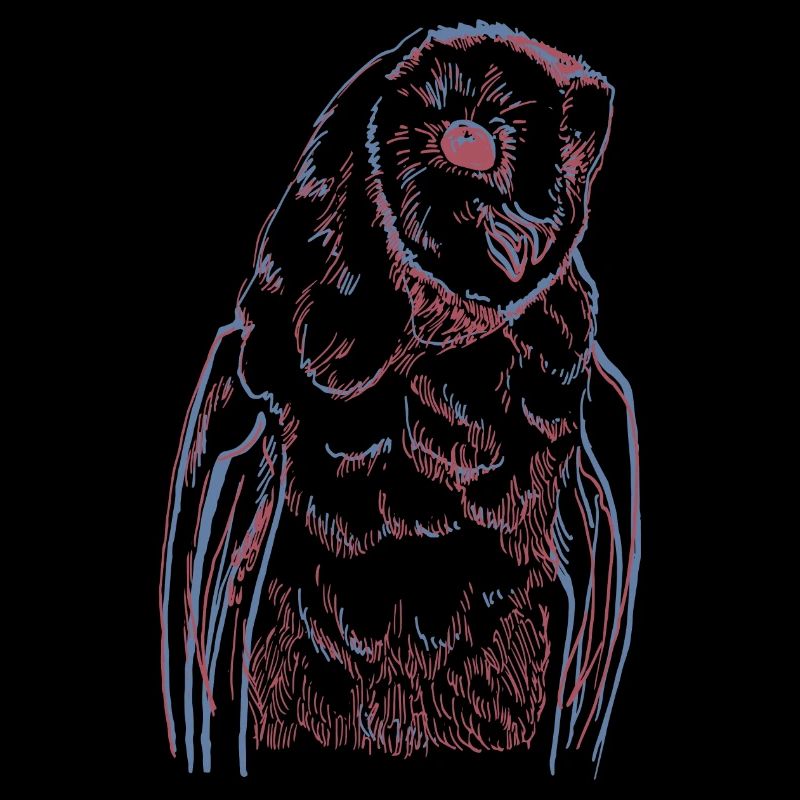 Barn owl