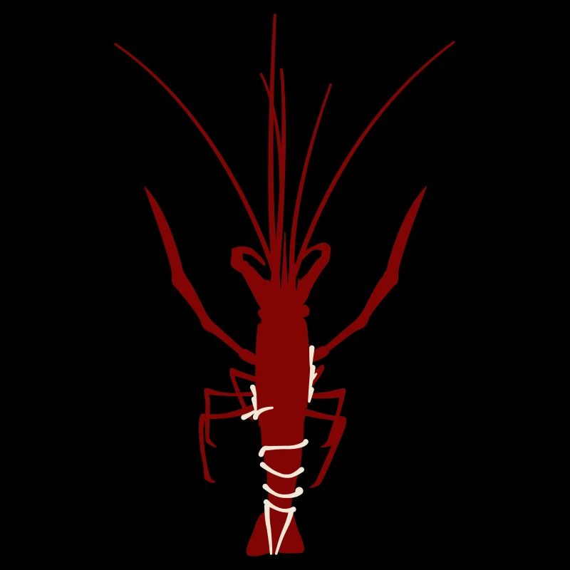 Lobster seafood crustaceans crayfish vector
