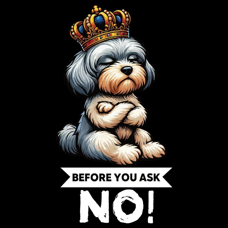 Avant de demander Havanese Havanese Keepers Havanese