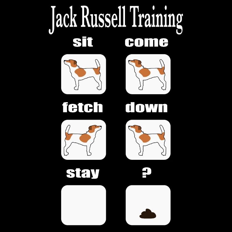 Jack Russell Terrier Training