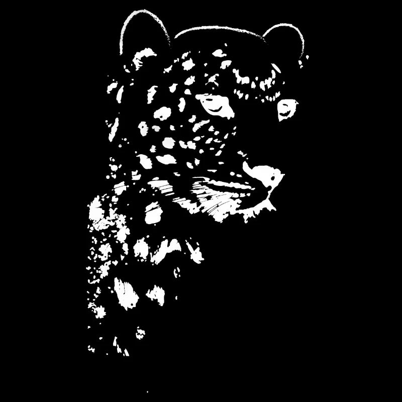 léopard, chat, chat sauvage, graffiti, peinture, blanc