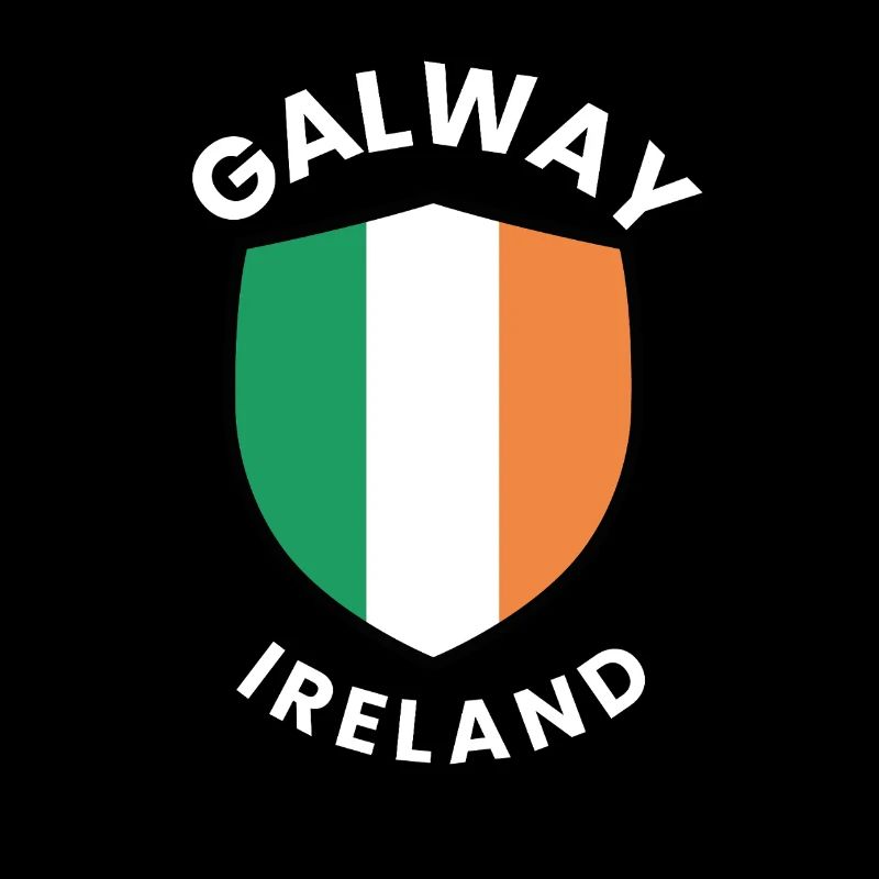 Bouclier de Galway avec drapeau irlandais