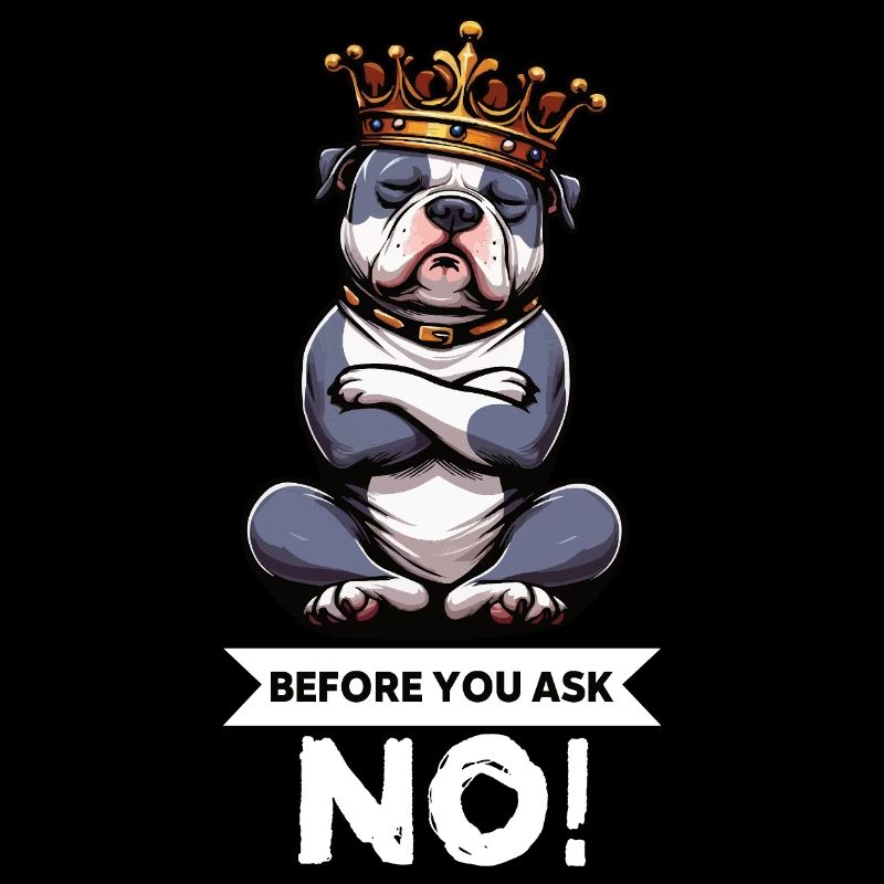 Avant que vous ne demandiez American Bully Bully Pit Bullys