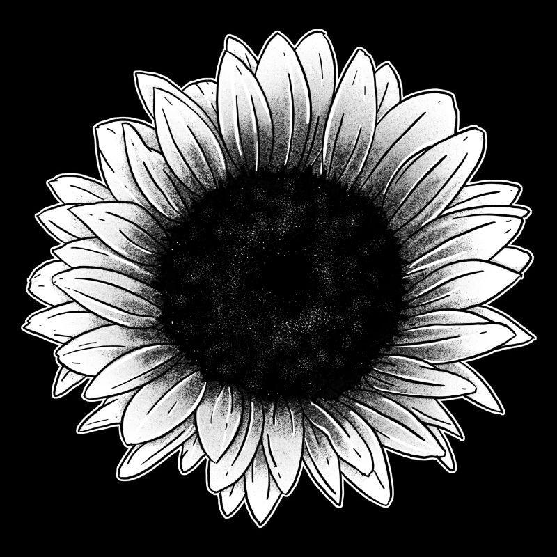 Sonnenblume