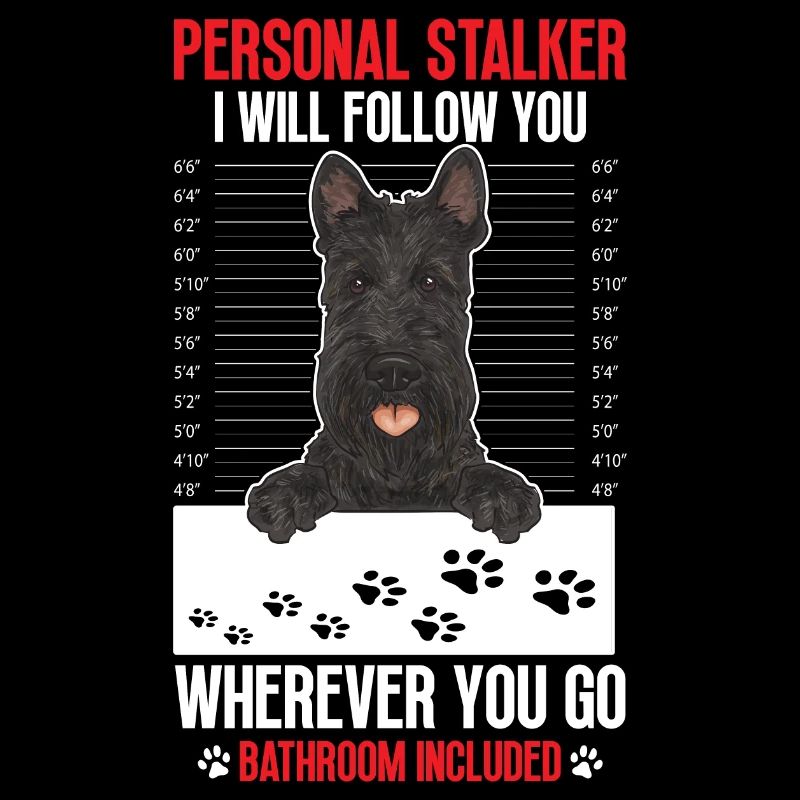 Terrier écossais Scottie Chien