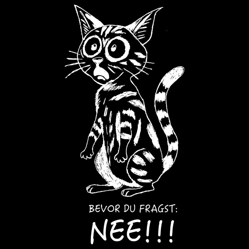 Avant que tu ne demandes...