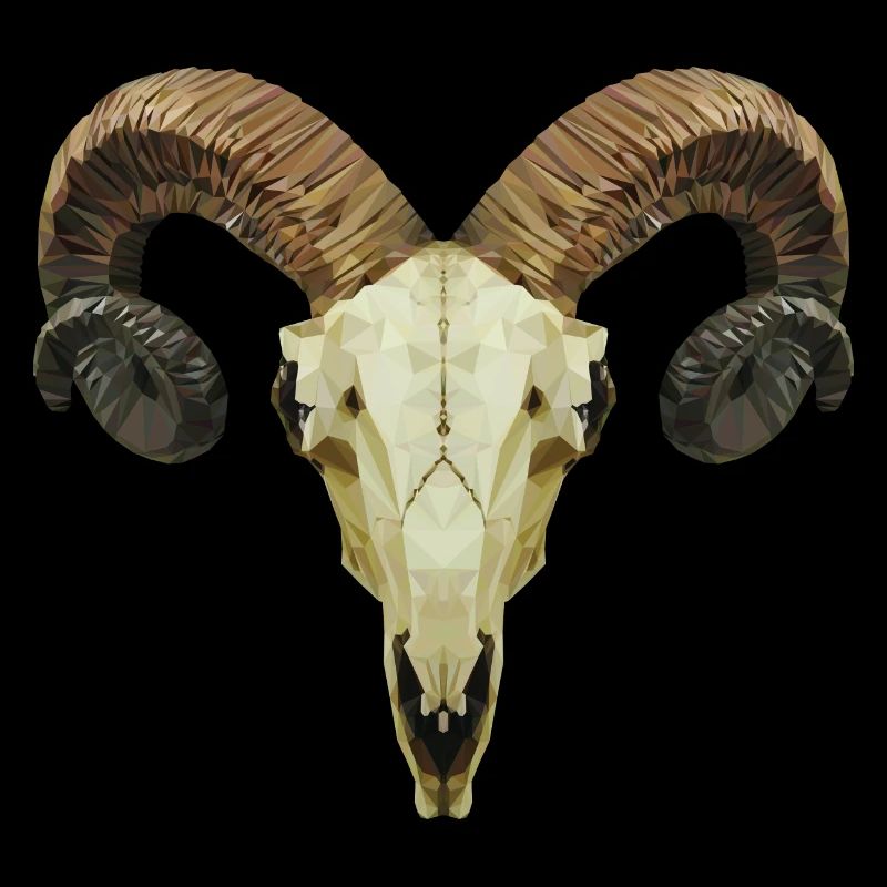 Ram's skull