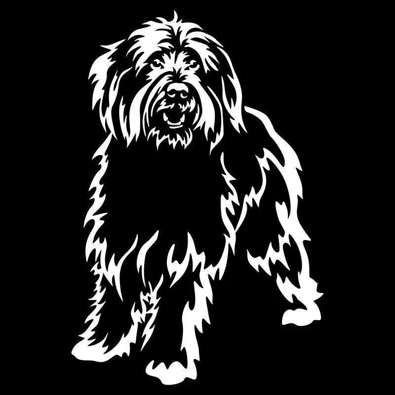 Caniche mouton « Black Edition »