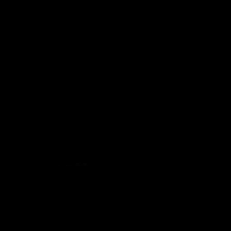 Evolution Kite