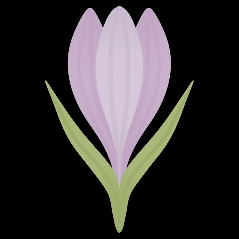Lilac Crocus Bloom Illustration