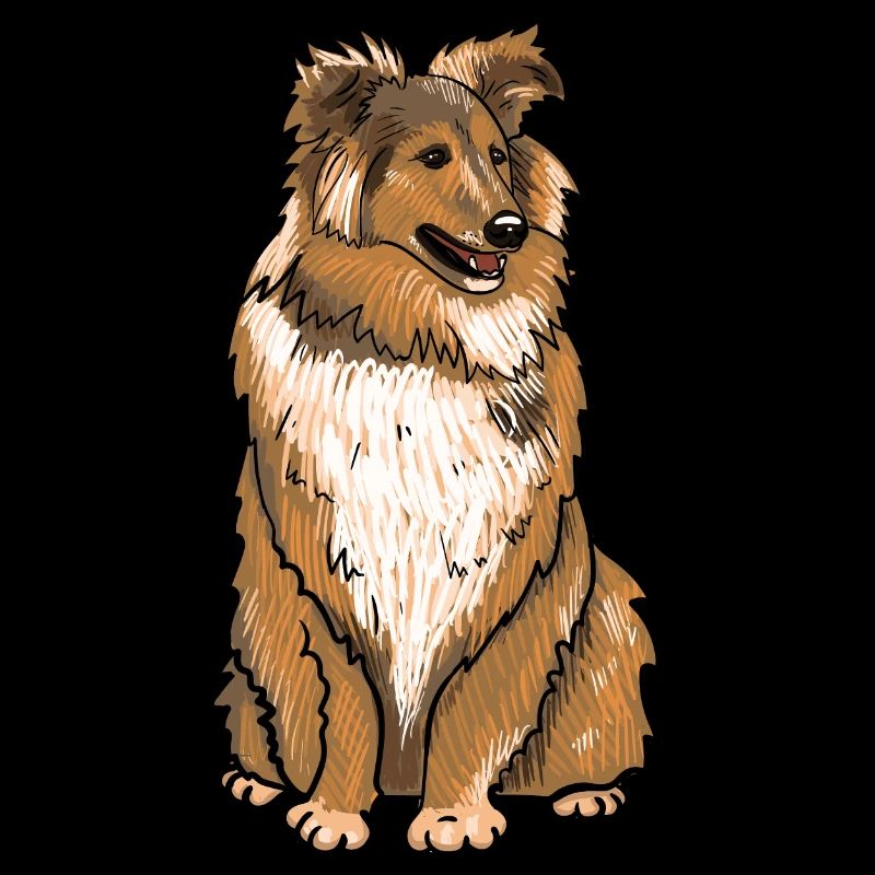 Crabot de Sheltie
