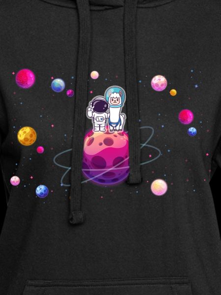 llama astronaut