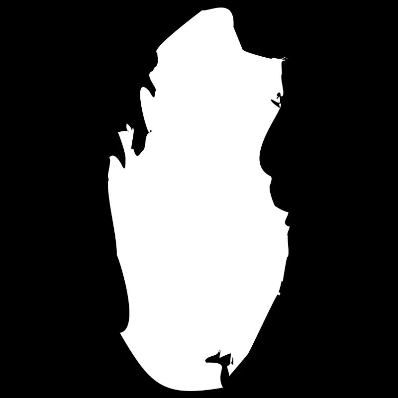 Qatar map flag
