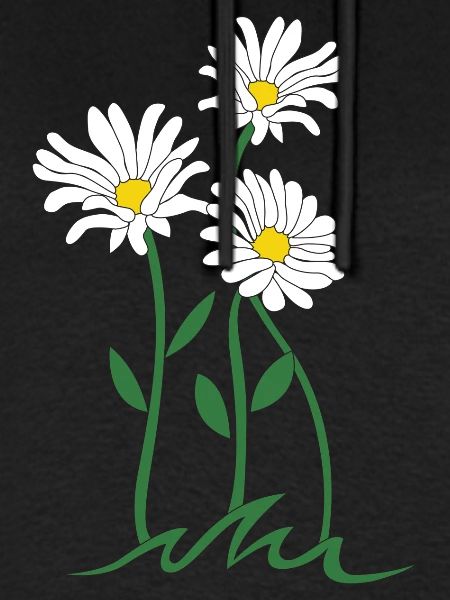 Gänseblümchen