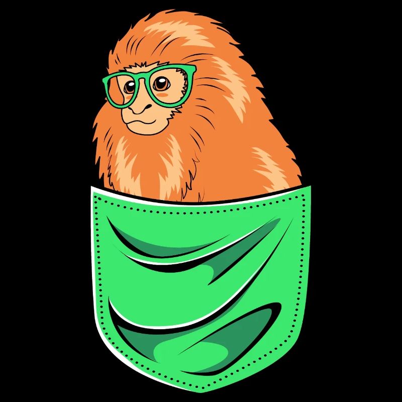 Singe Tamarin