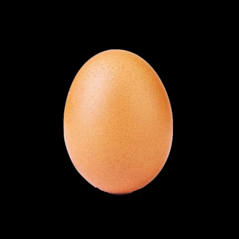 World Record Egg