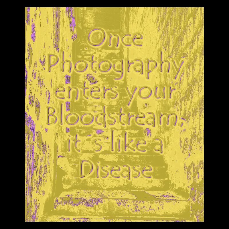 Maladie phtotographique olive