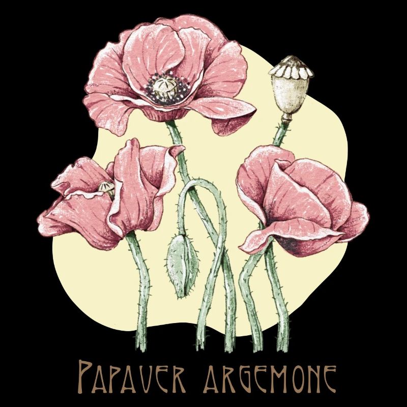 Dessin botanique de sable de coquelicot