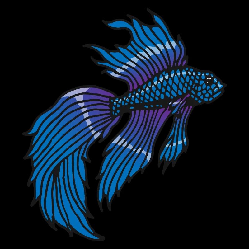 Betta Splendens Kampffisch Labyrinthfisch Geschenk