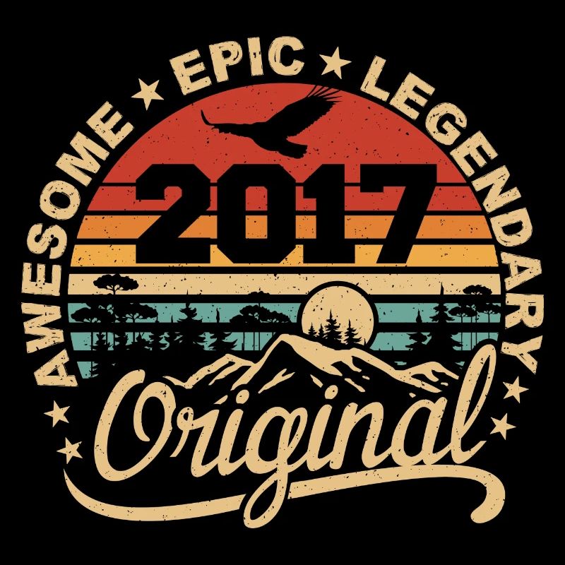 Original 2017 Geburtstagsgeschenk 2017 Retro 2017