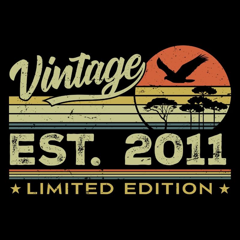 Vintage 2011 Awesome Since 2011 Gift 2011 Retro