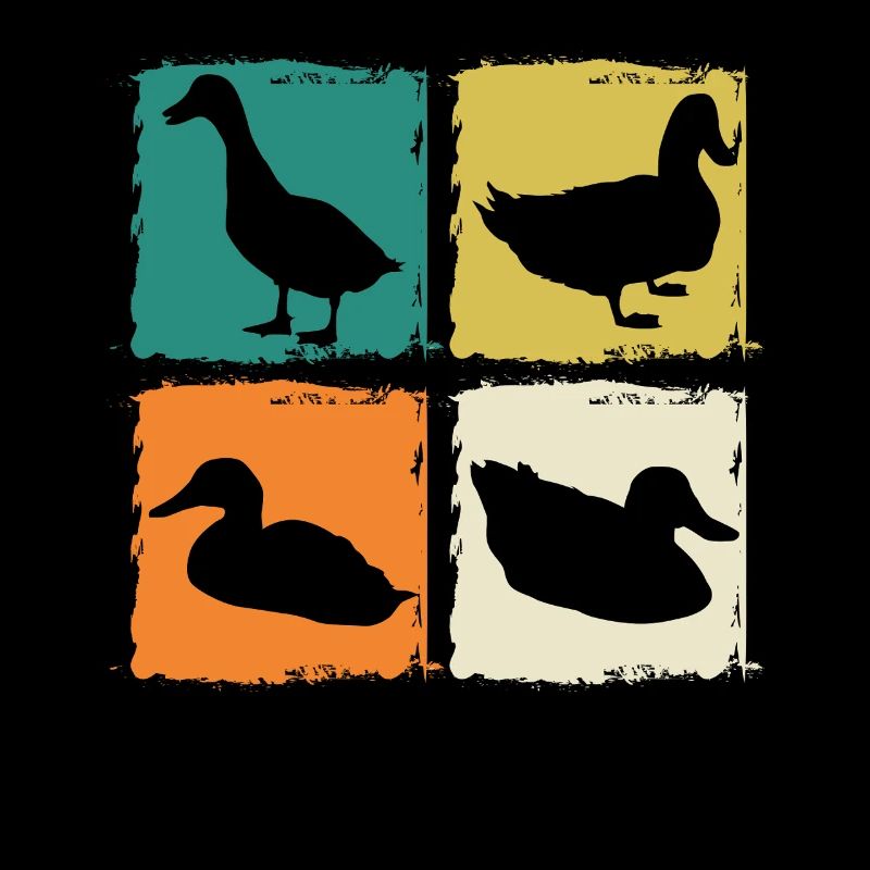 Canards