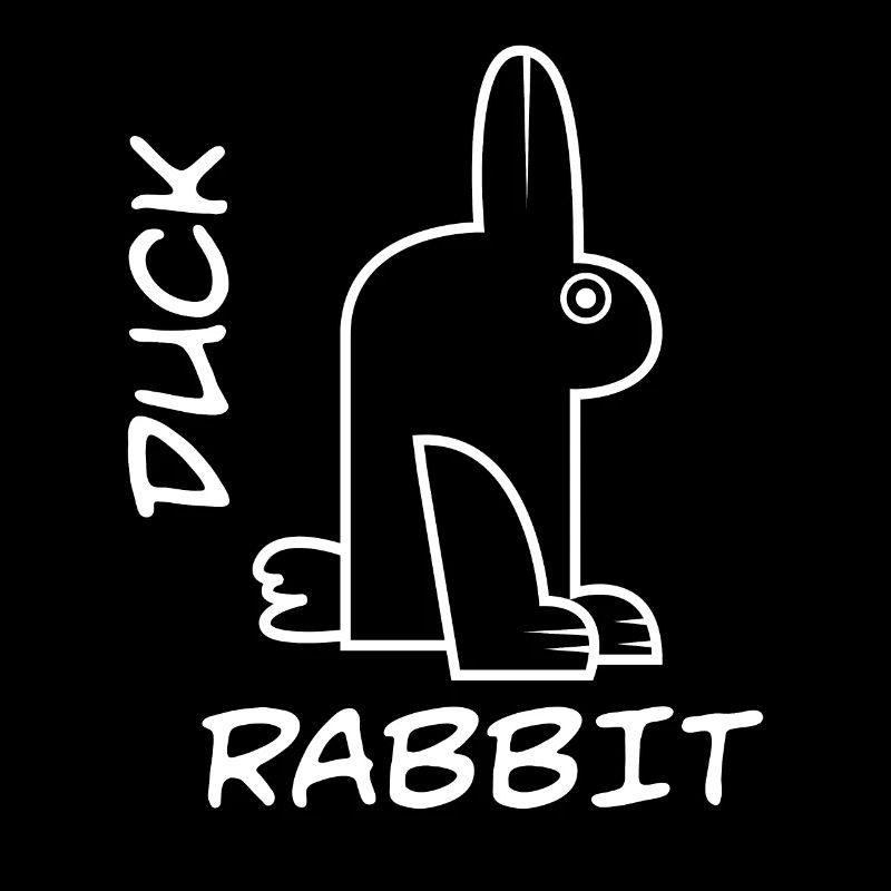 Rabbit Duck Meme Science Math Geek Philosophy