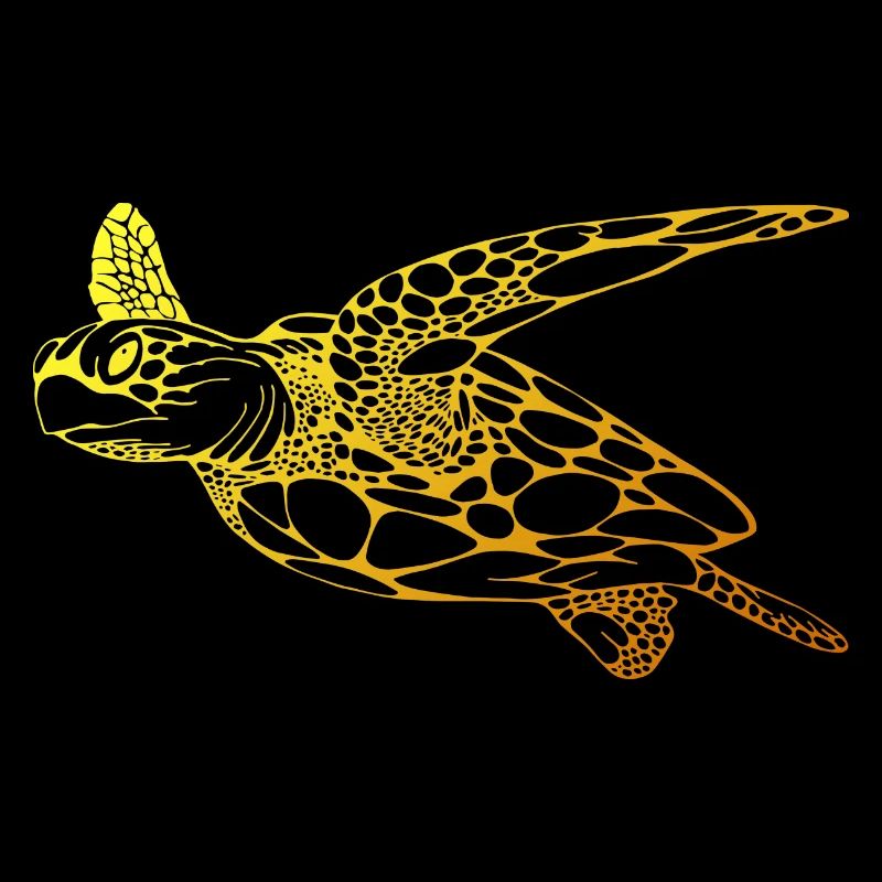 Plongeur Plongée Tortue Plongée Plongée