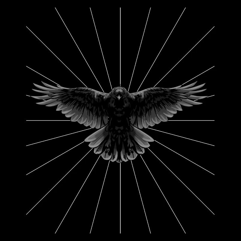 Rays Raven Crow Bird Bird Illustration Dark