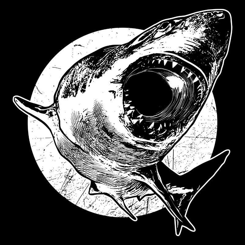 Grand requin blanc à la chasse