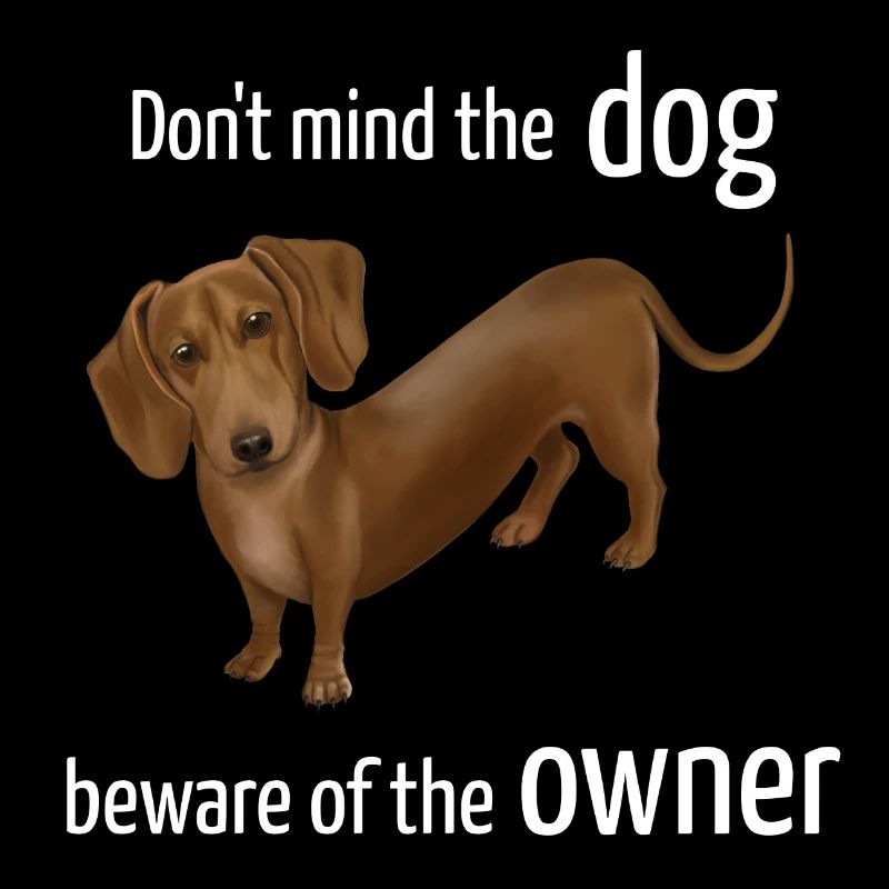 Teckel - Ne faites pas attention au chien, méfiez-vous du propriétaire