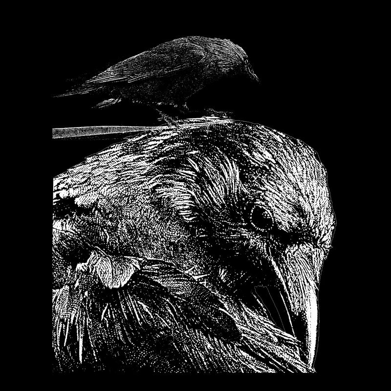 Corbeau