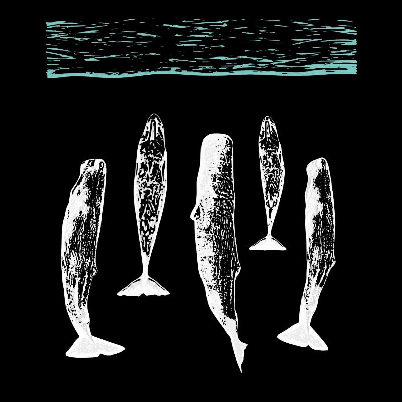 spermwhale plain white