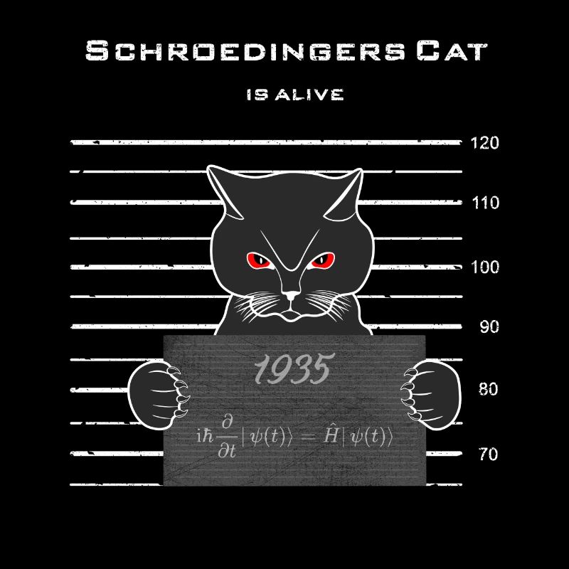 Le chat de Schrödinger vit/ Schrödinger Formule