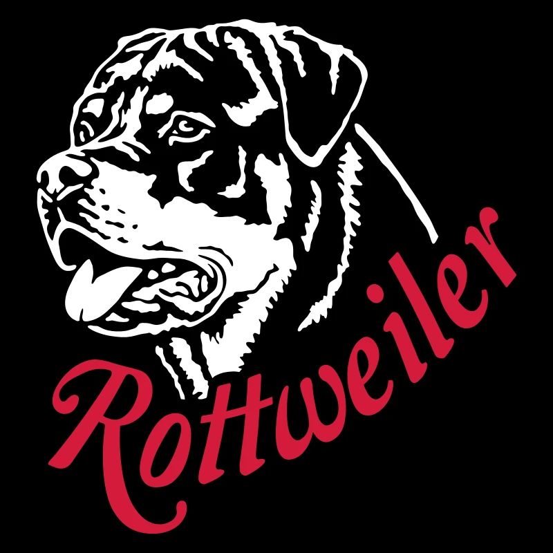 569 Rottweiler dog