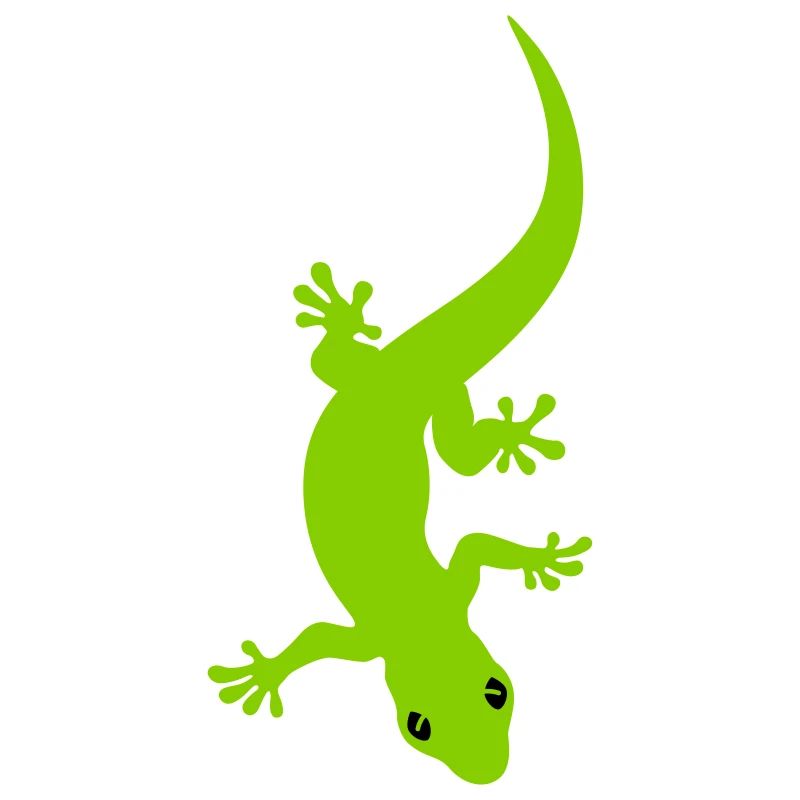 Gecko