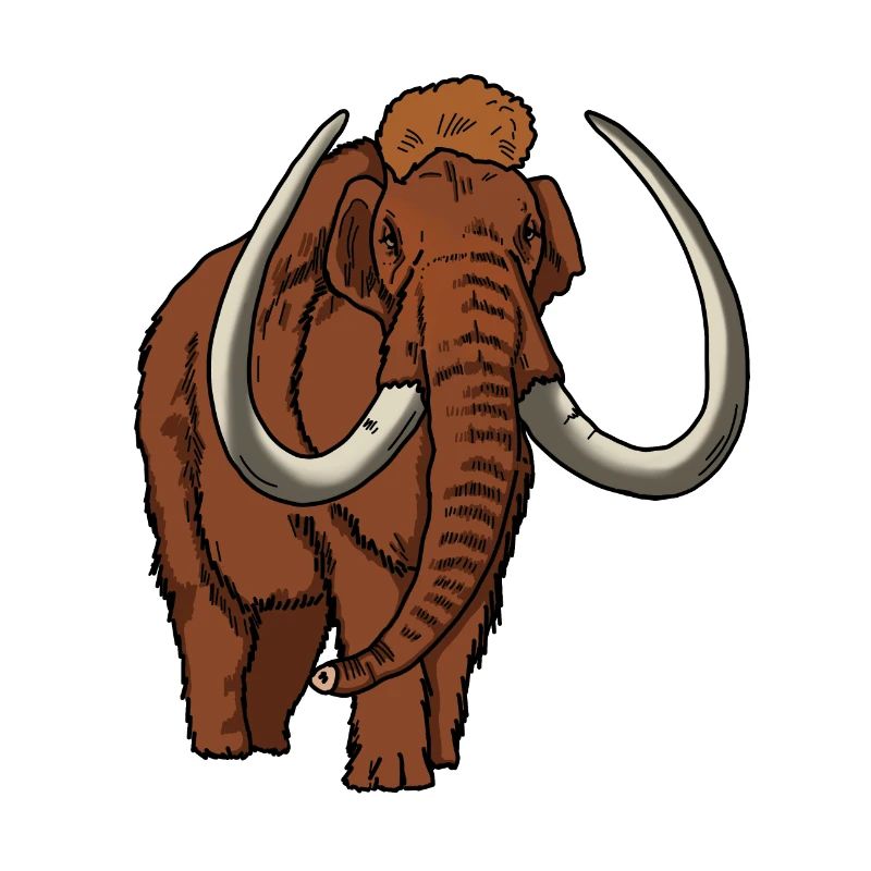 Mammoth colored