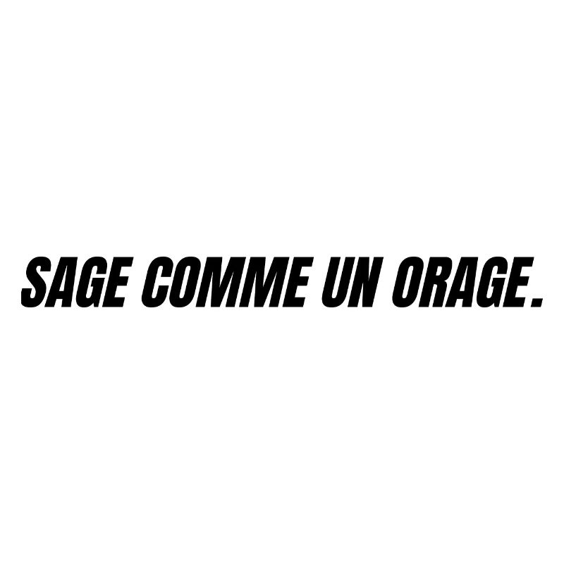 sage comme un orage