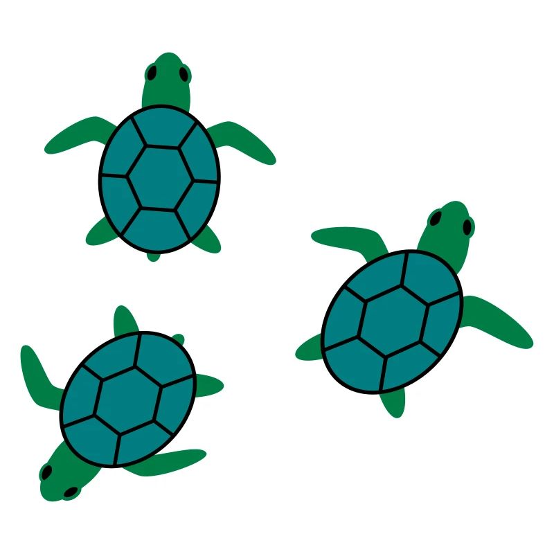 turtle