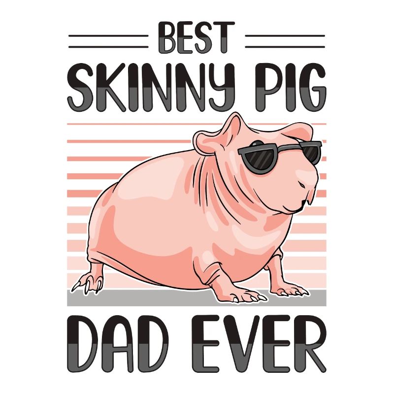 Cochon d’Inde sans poils Cochon maigre