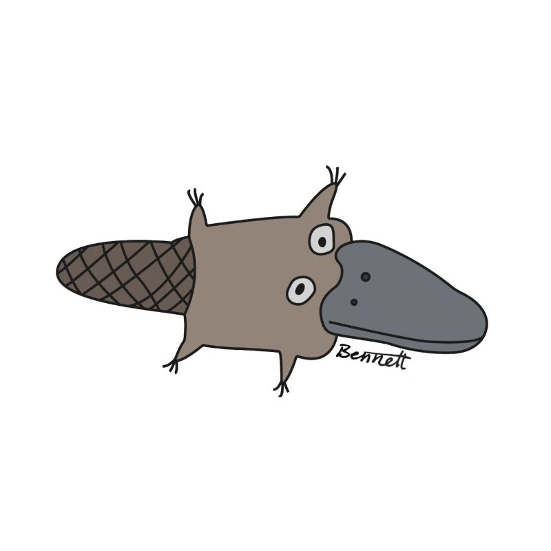 Platypus 1
